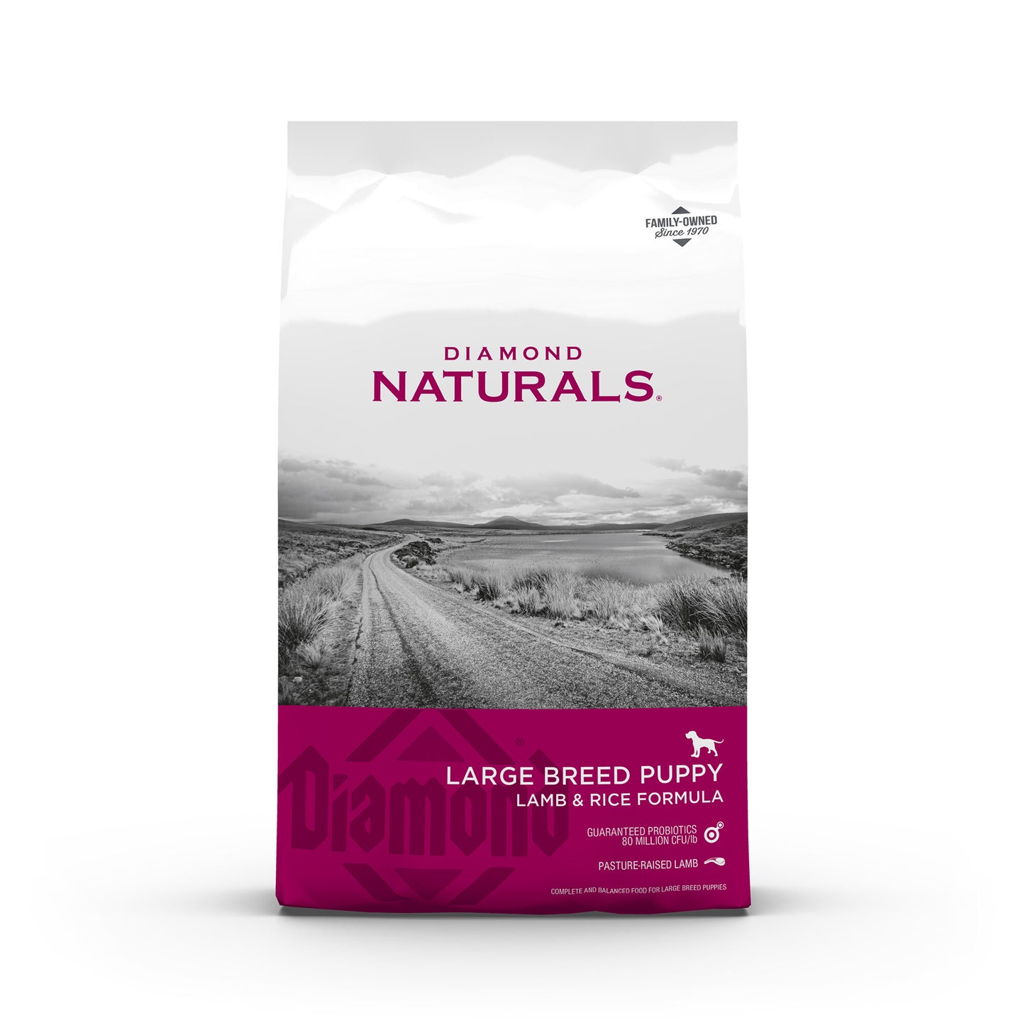 Diamond Naturals Large Breed Lamb & Rice Recipe Puppy Dry Food