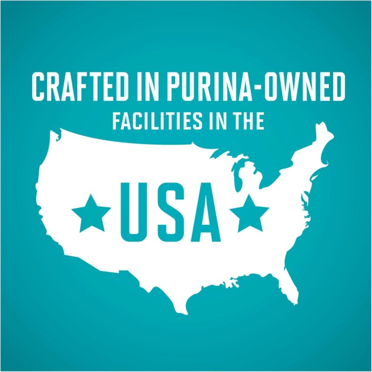 Purina ONE Grain Free Premium Pate Beef Canned Cat Food