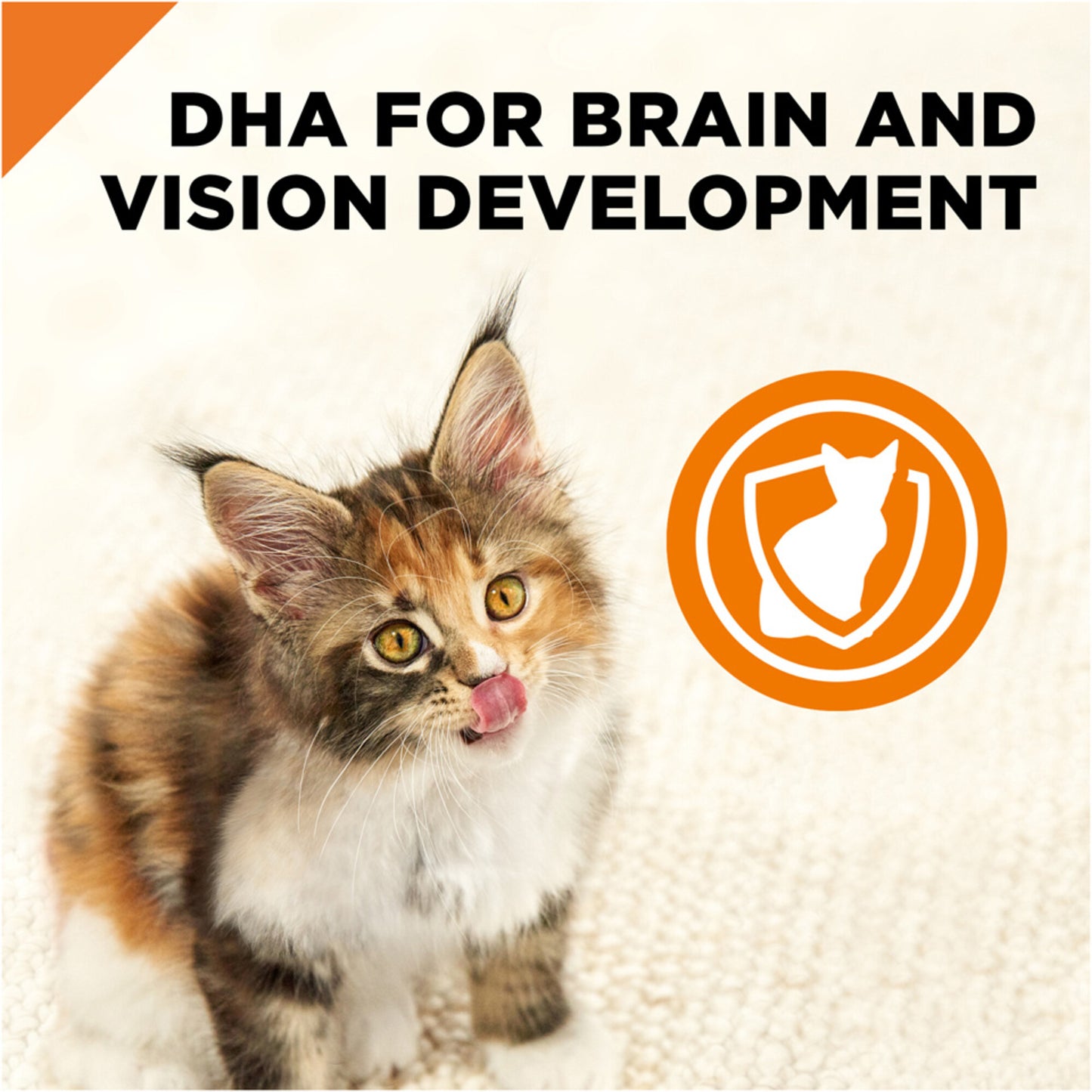 Purina Pro Plan Grain-Free Pate Salmon & Tuna Entree Pull-Top Can Wet Kitten Food