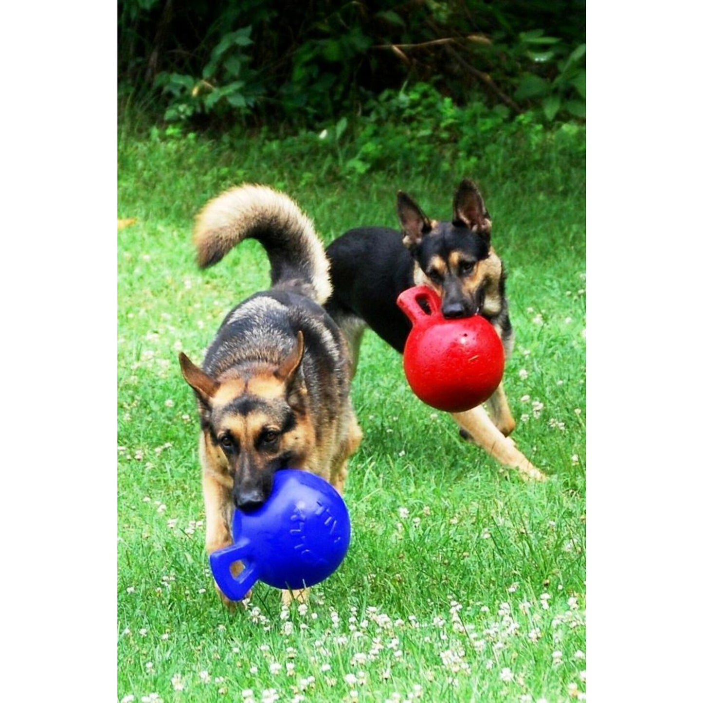 Jolly Pets Tug n Toss Ball Dog Toy