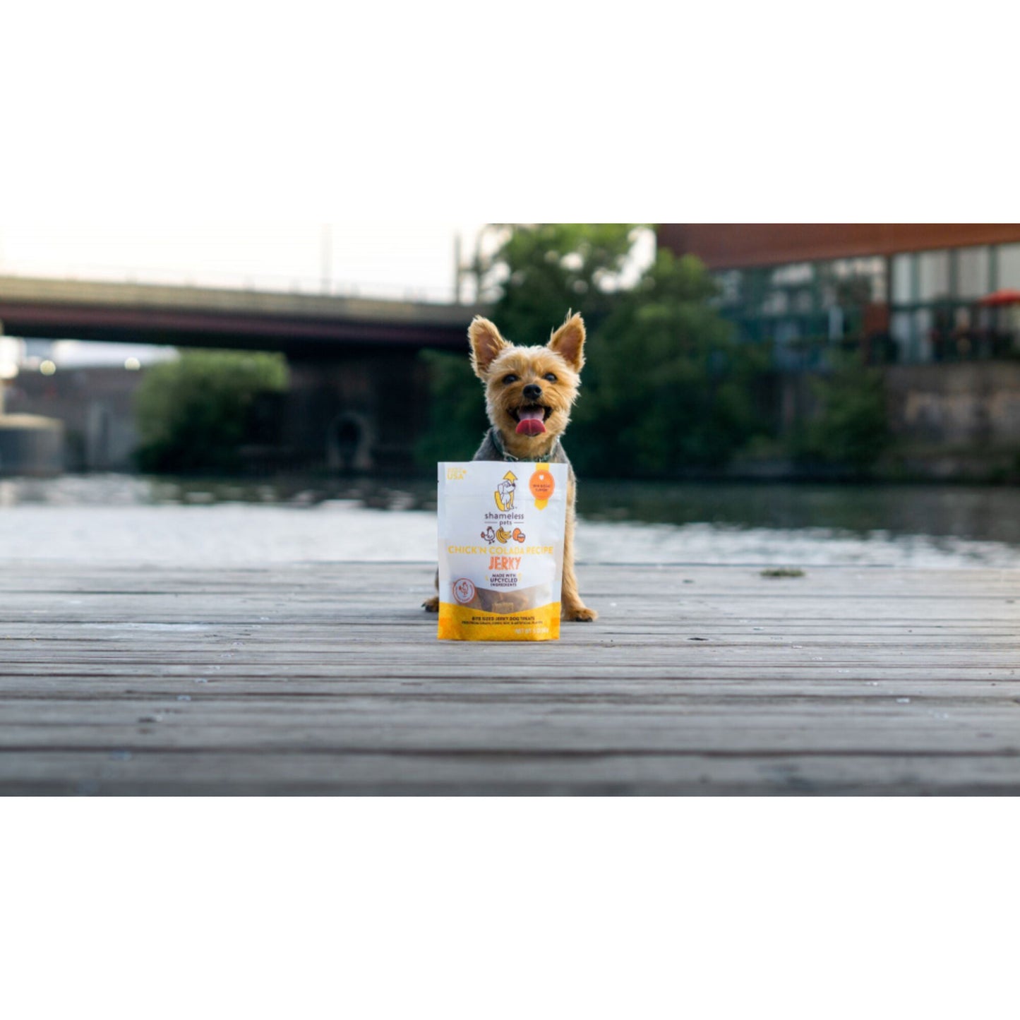 Shameless Pets Chick'n Colada Bite Sized Jerky Dog Treats