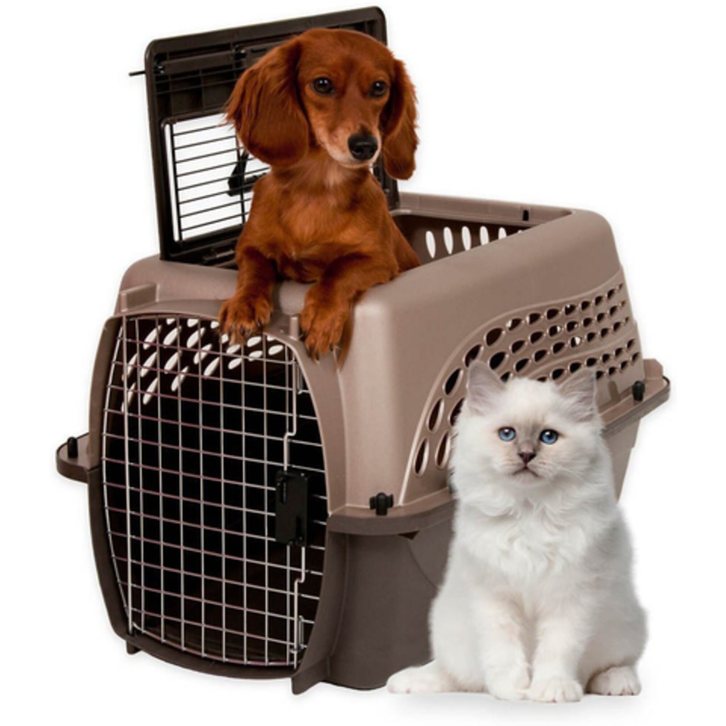 Petmate Two Door Top Load Pet Kennel