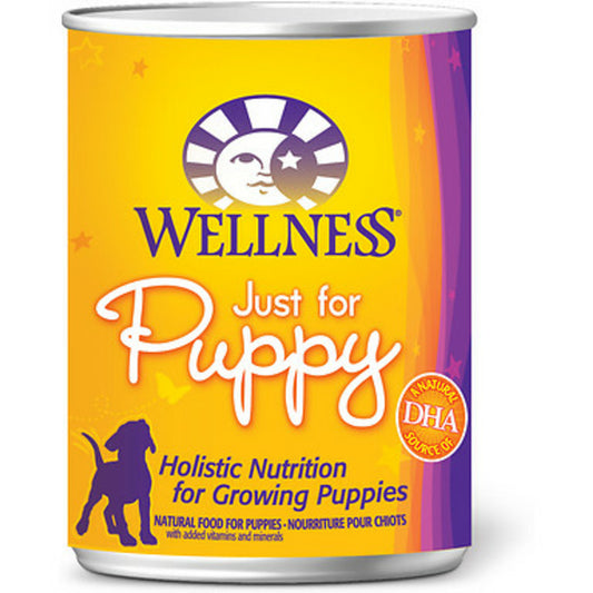 Wellness Complete Health Natural Just for Puppy Chicken and Salmon Recipe Wet Canned Dog Food