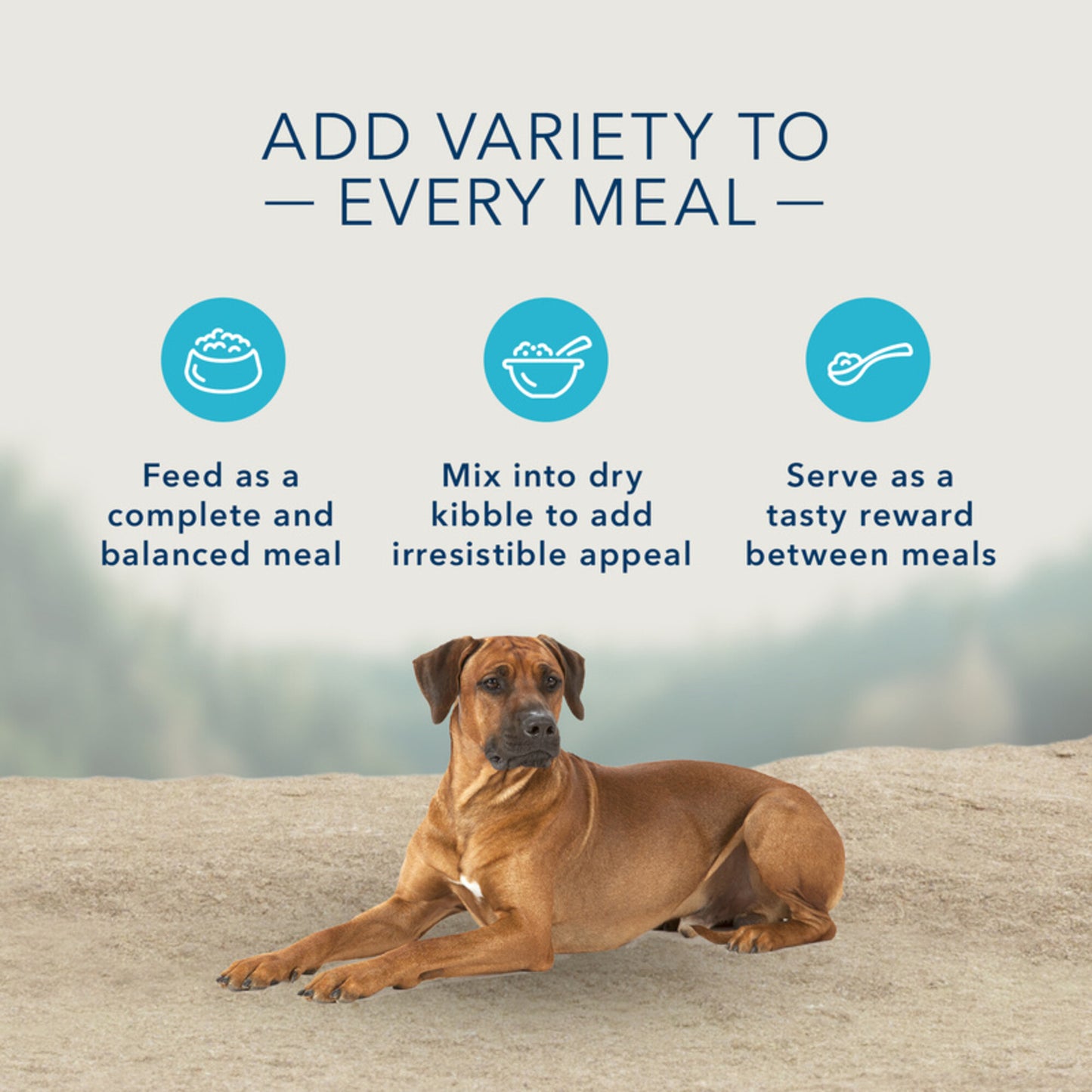 Blue Buffalo Carnivora Prairie Blend Grain-Free Adult Canned Dog Food