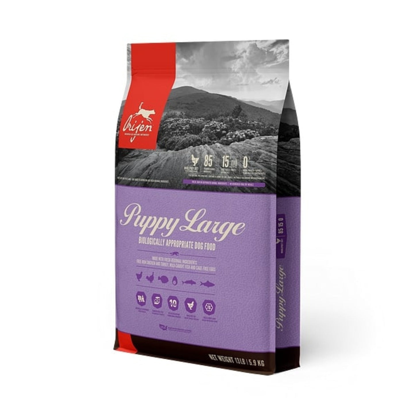 ORIJEN Puppy Large Breed Dry Dog Food