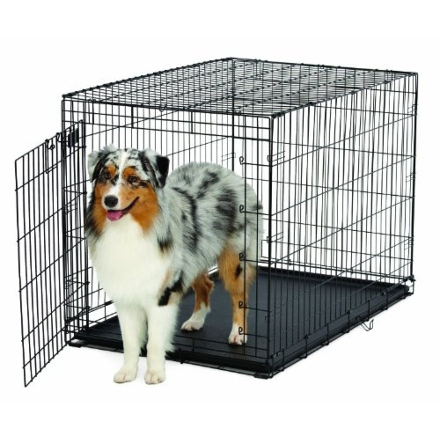 MidWest Life Stages ACE Single Door Dog Crate