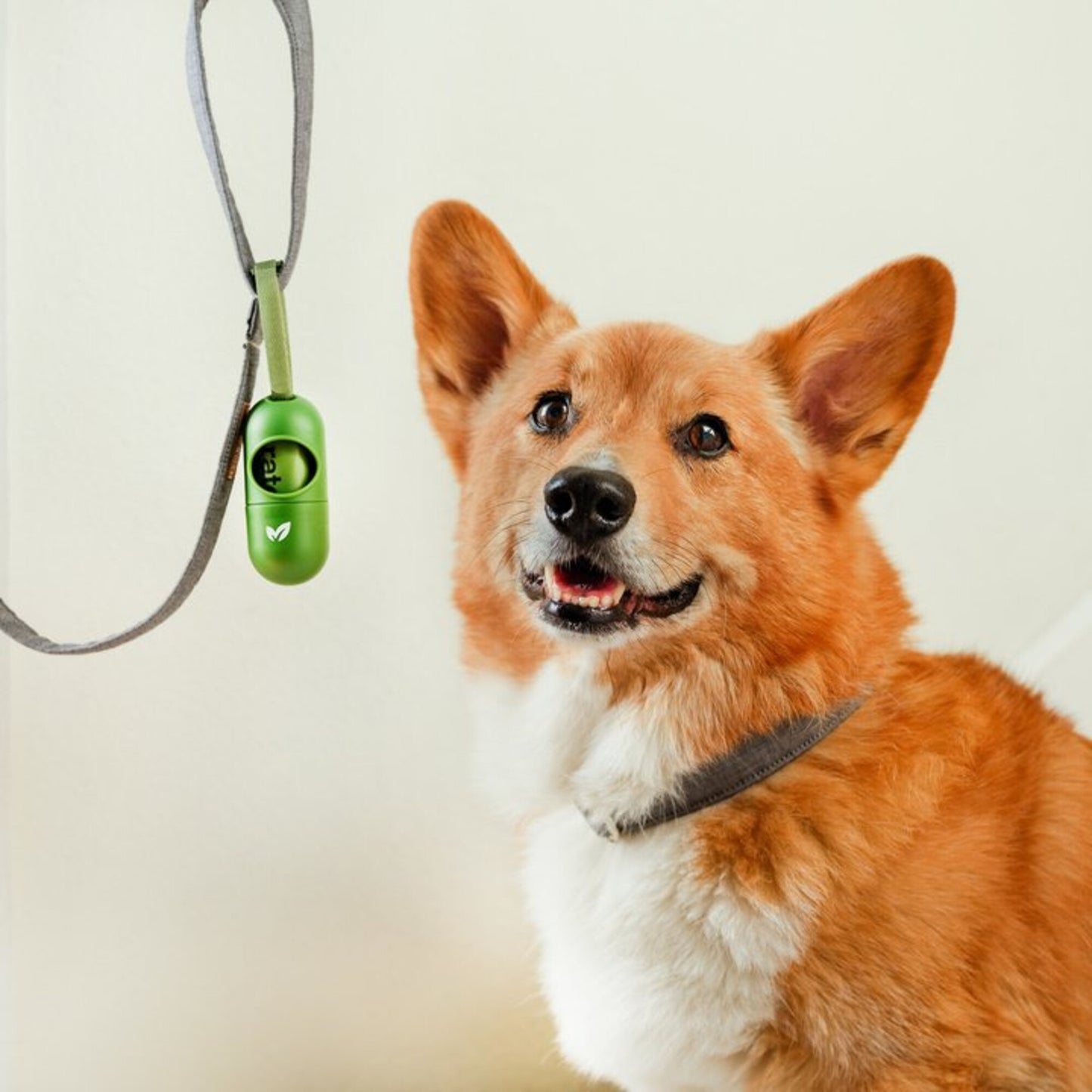 Earth Rated Leash Dispenser with Lavender Scented Waste Bags