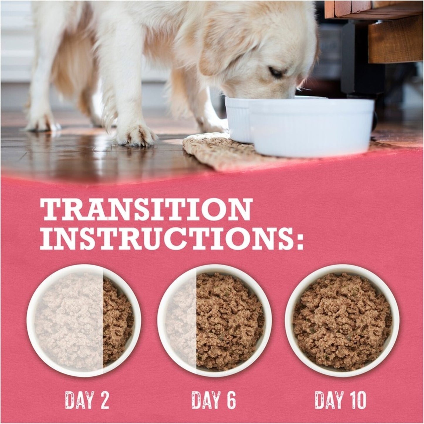 Purina Beyond Ground Entree Grain Free Beef, Potato and Green Bean Canned Dog Food