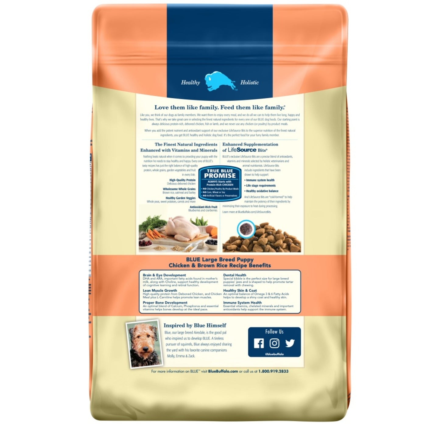Blue Buffalo Life Protection Natural Chicken & Brown Rice Recipe Large Breed Puppy Dry Dog Food