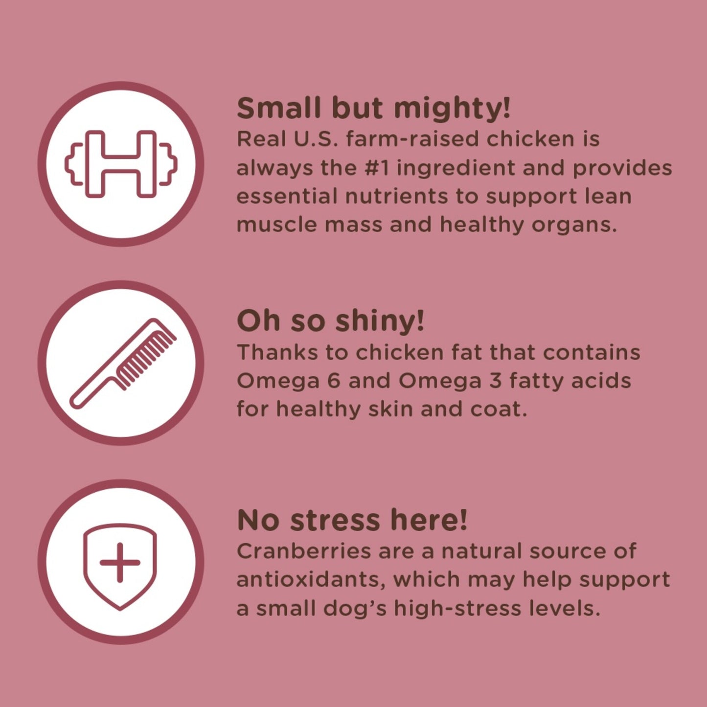 Rachael Ray Nutrish Little Bites Small Breed Chicken & Veggies Recipe Dry Dog Food