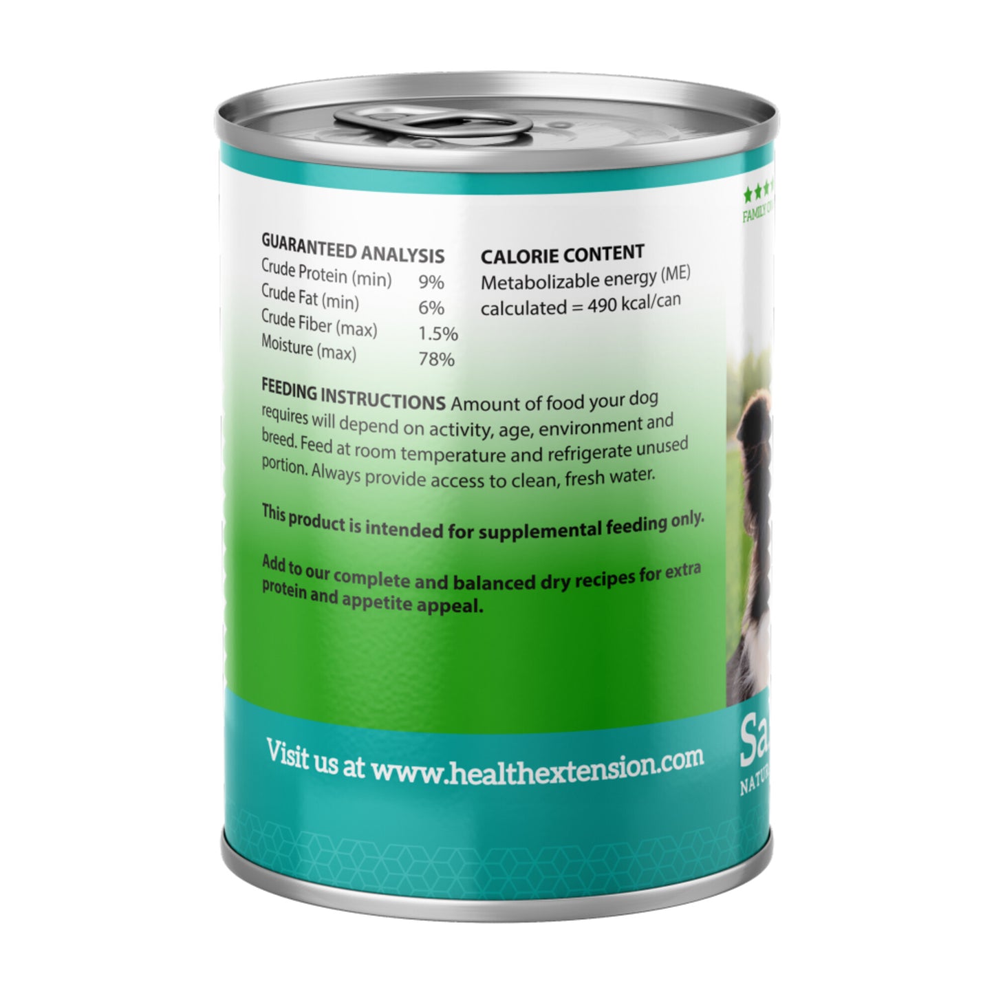 Health Extension Holistic Grain Free 95% Salmon Canned Dog Food
